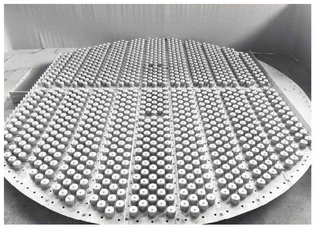 Bubble Cap Trays — tray detail